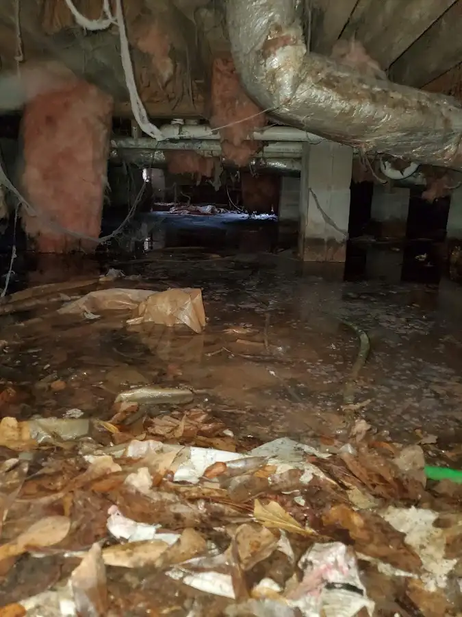 Crawl space flood assessment for Leak Detection & Repair in Riverbank